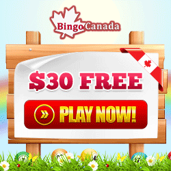 BingoCanada Mobile Casino & Internet Bingo Hall Bonuses & Reviews